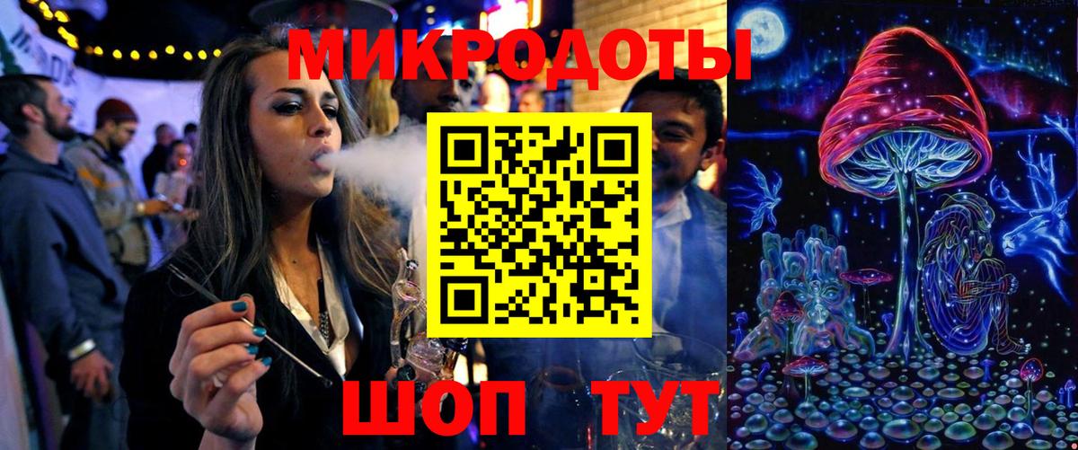 Псилоцибиновые грибы Psilocybe Кириши