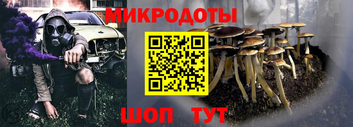 Кириши  Галлюциногенные грибы Psilocybe  Вход с VPN 